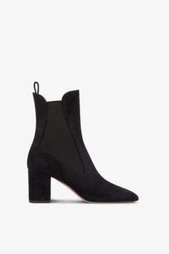 Paris Texas Pointed Ankle Boots In Soft Off-black Suede Leather