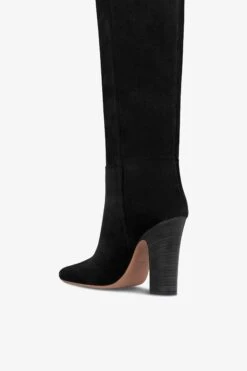 Boots In Black Calf Suede Leather -Paris Texas Brand Shop PX1507XV0ELNERO 5