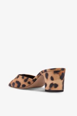 Paris Texas Mules In Natural Leopard-print Suede Leather -Paris Texas Brand Shop PX1542XSALPNATURALE 5