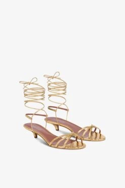 Lace-up Sandals In Gold Metallic Python-print Leather -Paris Texas Brand Shop PX1629XPMRRGOLD 2