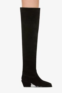 Over-the-knee Boots In Black Calf Suede Leather -Paris Texas Brand Shop PX1703XV003561NERO 10